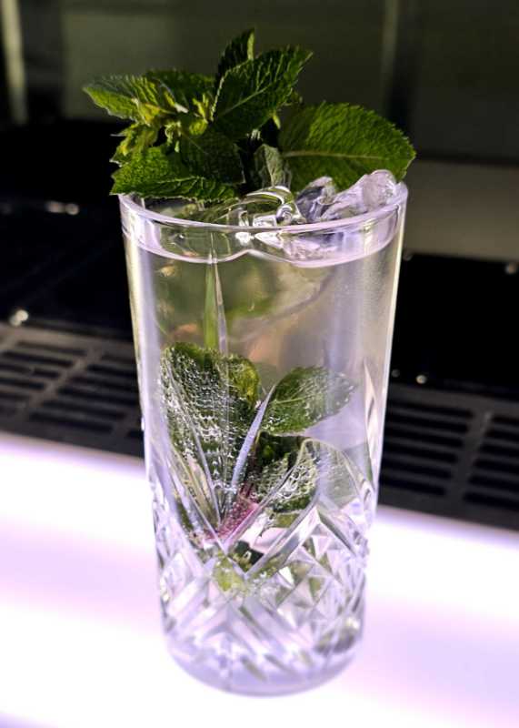 Mojito